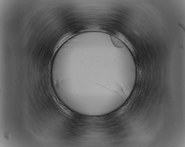 X0000097671002200803281008