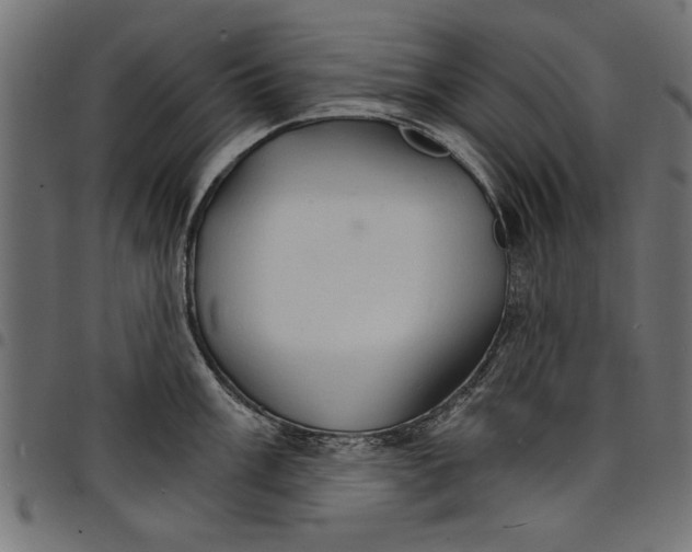 X0000097671003200803281008