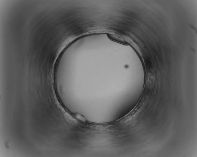 X0000097671005200803281008
