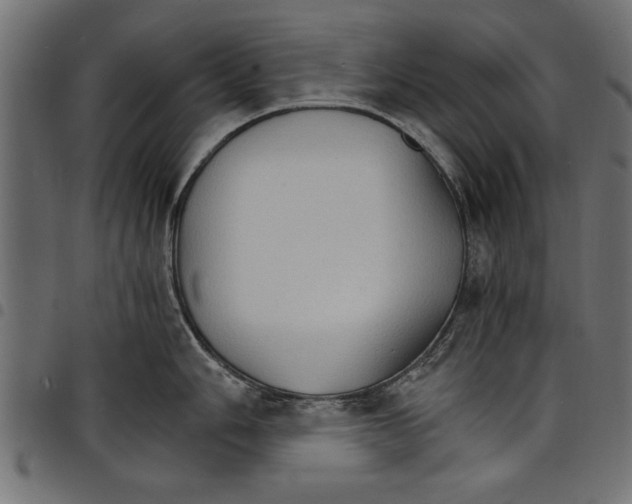 X0000097671006200803281008