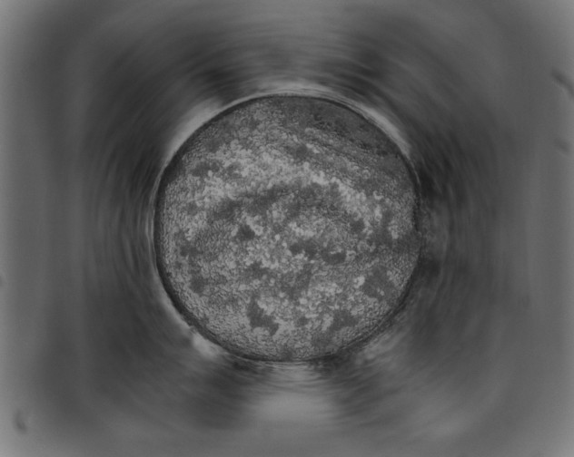 X0000097671007200803281008
