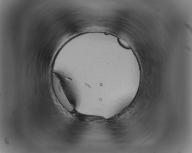 X0000097671008200803281008