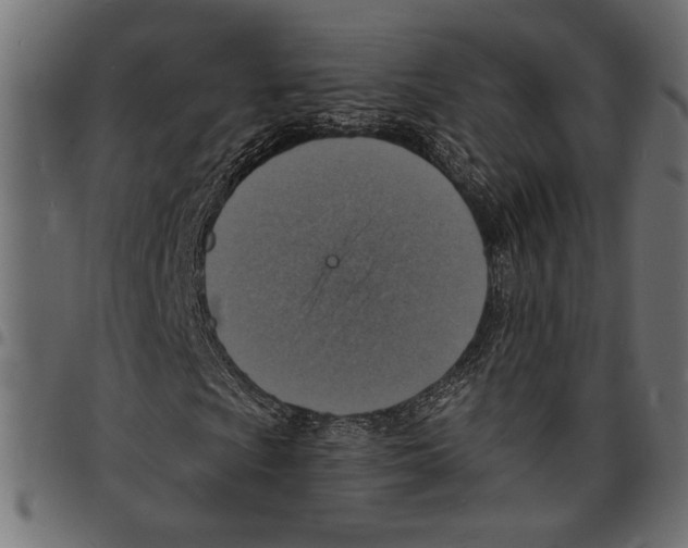 X0000097671009200803281008