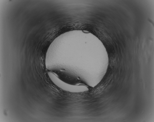 X0000097671010200803281008