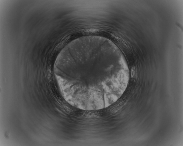 X0000097671011200803281008