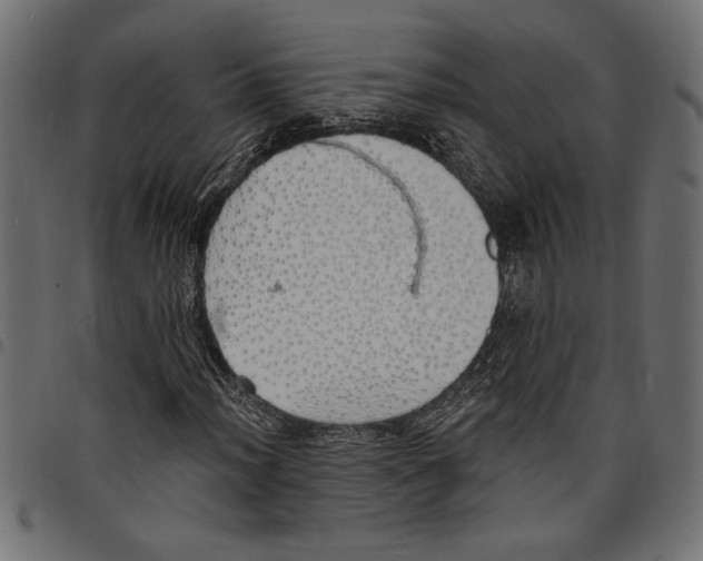 X0000097671012200803281008