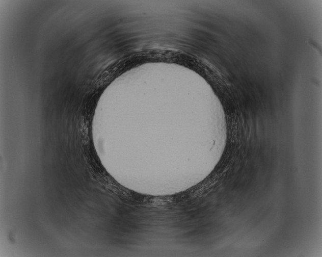 X0000097671013200803281008