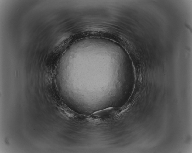 X0000097671014200803281008