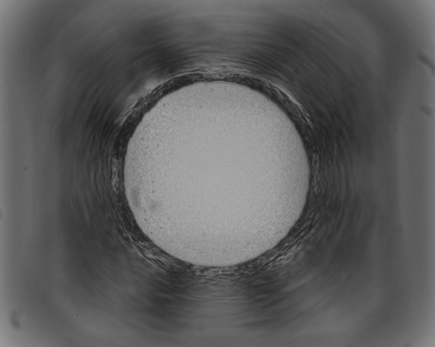 X0000097671016200803281008