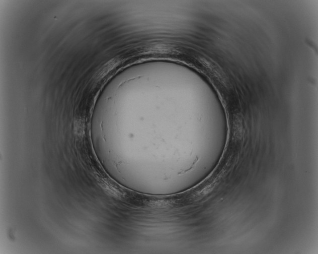 X0000097671017200803281008