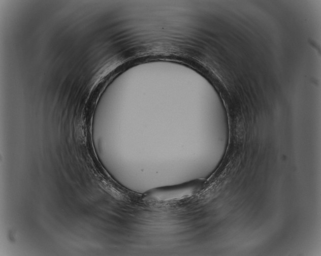 X0000097671018200803281008