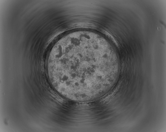 X0000097671019200803281008