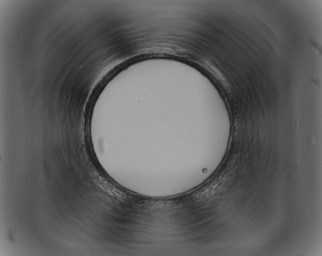 X0000097671020200803281008