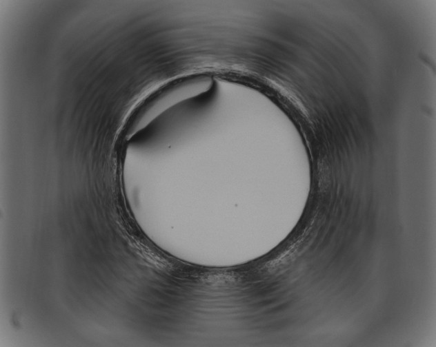 X0000097671021200803281008