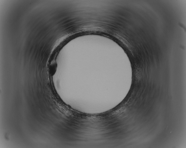 X0000097671022200803281008