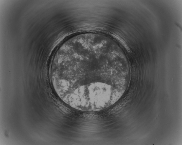 X0000097671023200803281008