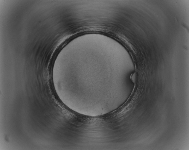 X0000097671024200803281008