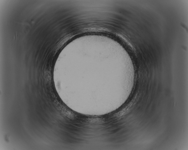 X0000097671025200803281008
