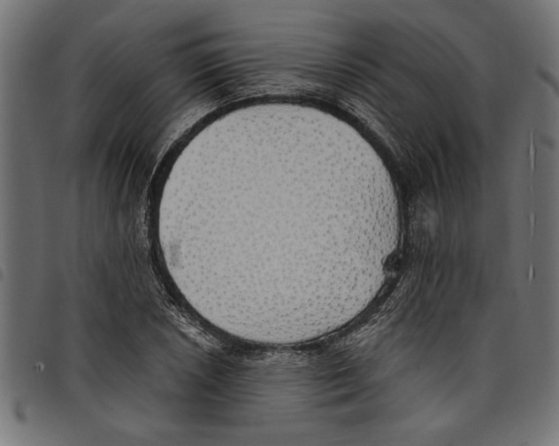 X0000097671026200803281008