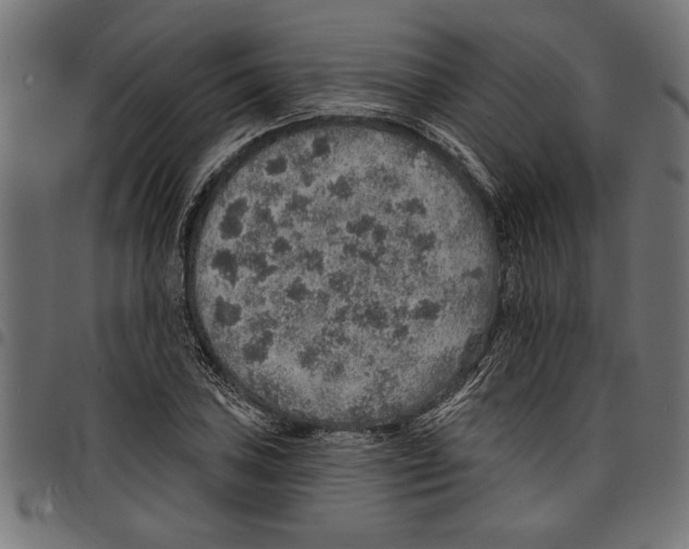 X0000097671027200803281008
