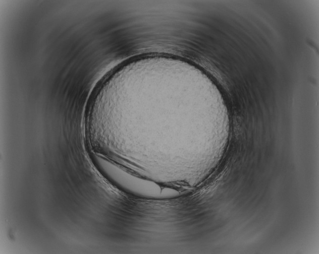 X0000097671028200803281008