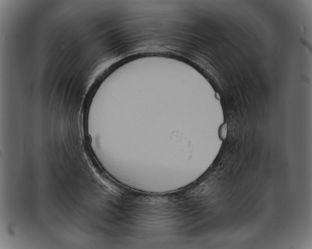 X0000097671030200803281008