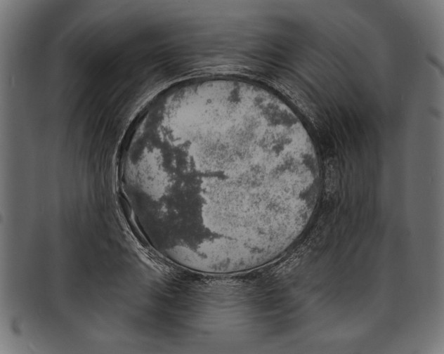 X0000097671031200803281008