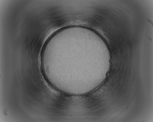 X0000097671032200803281008