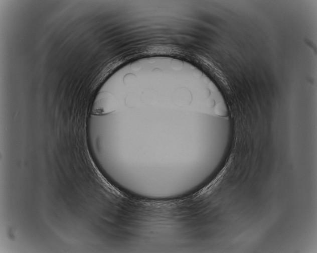 X0000097671033200803281008