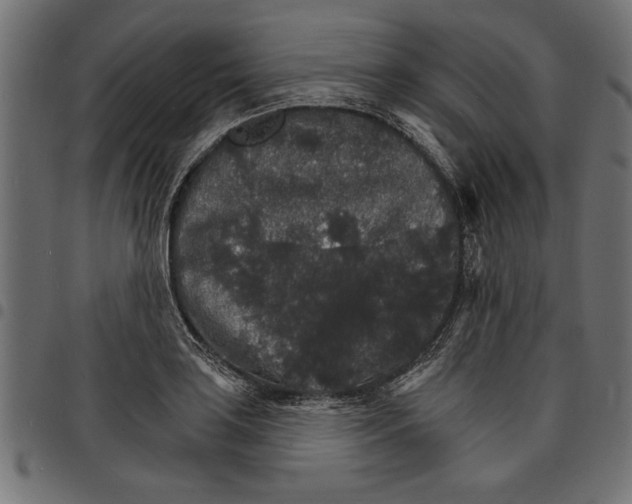 X0000097671035200803281008