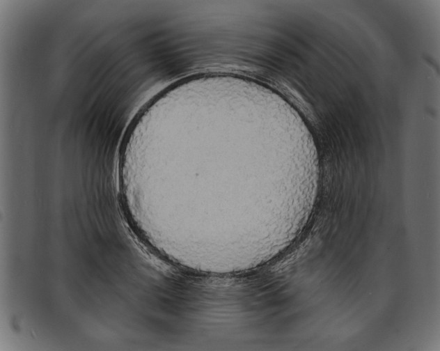 X0000097671036200803281008