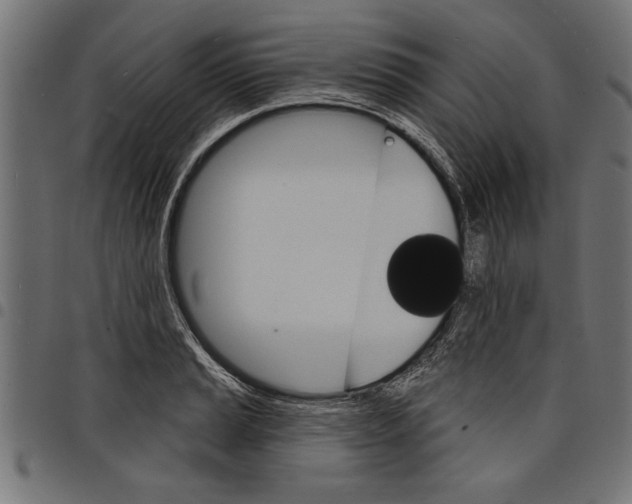 X0000097671037200803281008