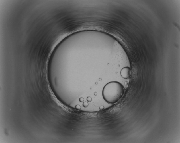 X0000097671038200803281008