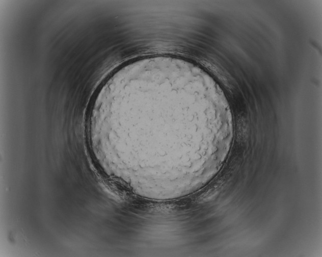 X0000097671039200803281008