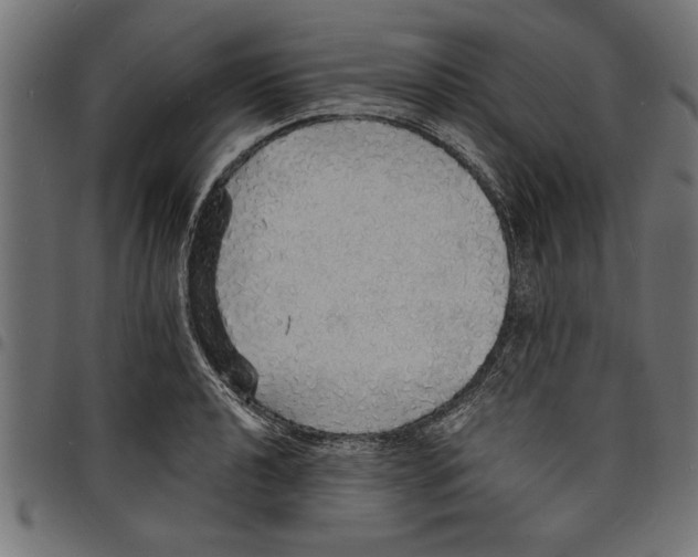 X0000097671040200803281008