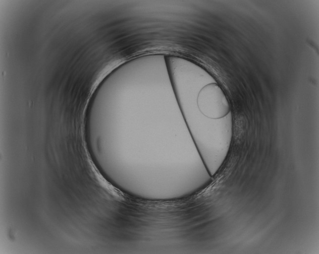 X0000097671042200803281008