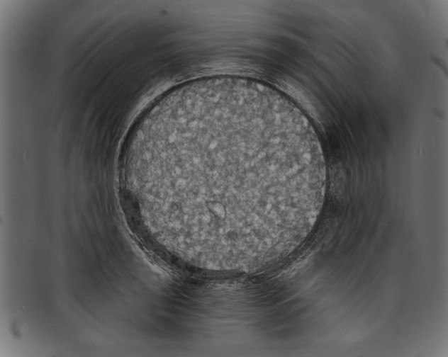 X0000097671043200803281008