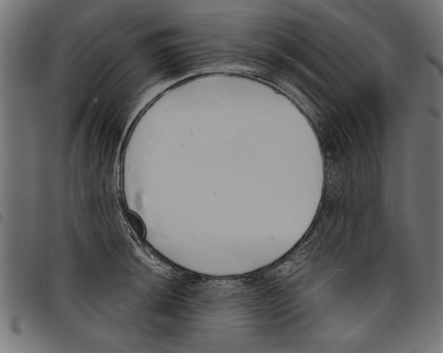 X0000097671044200803281008