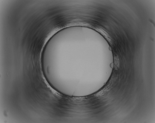 X0000097671046200803281008