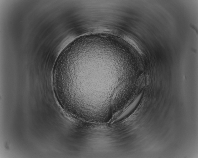 X0000097671047200803281008