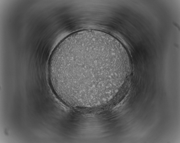X0000097671048200803281008