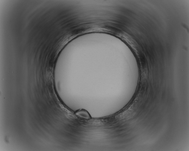 X0000097671049200803281008