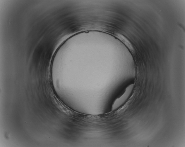 X0000097671052200803281008