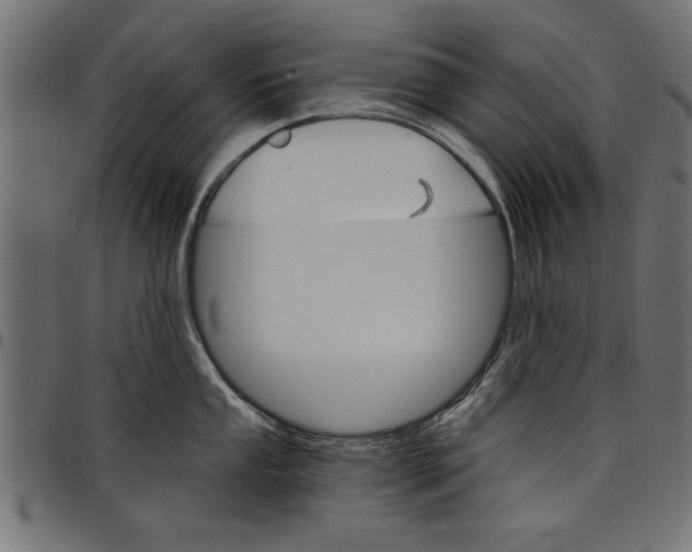 X0000097671053200803281008