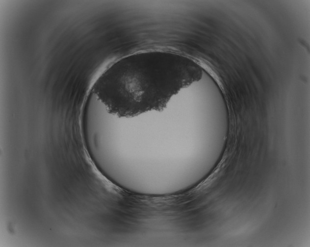 X0000097671054200803281008