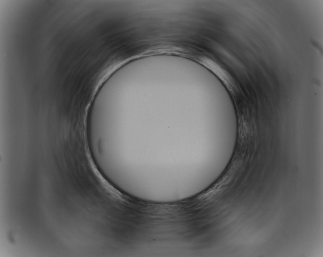 X0000097671055200803281008