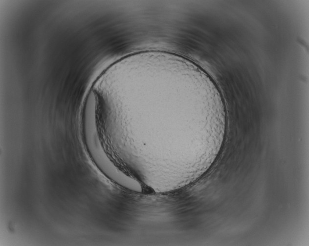 X0000097671056200803281008