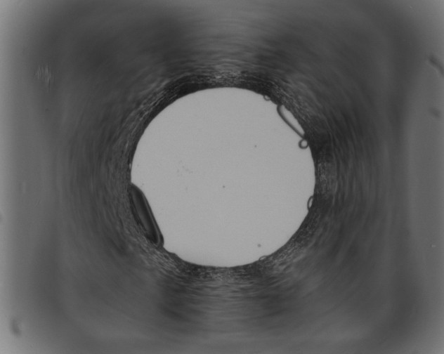 X0000097671057200803281008