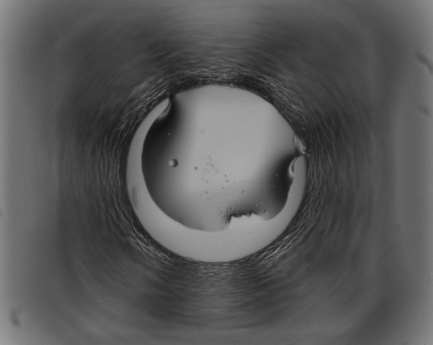 X0000097671058200803281008