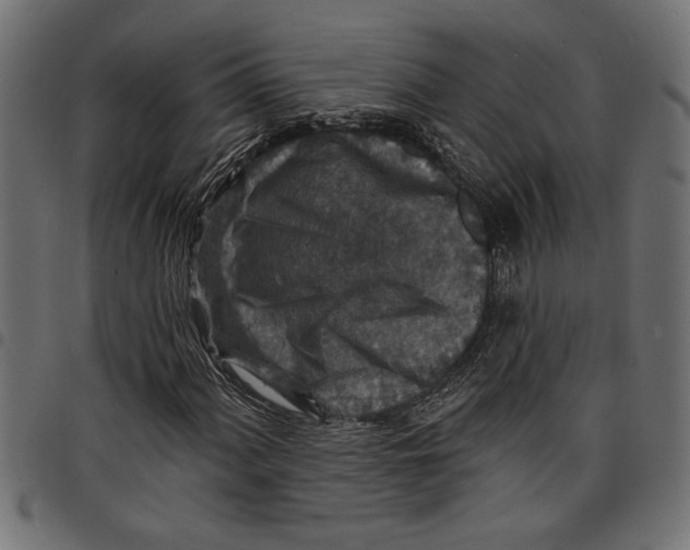 X0000097671060200803281008